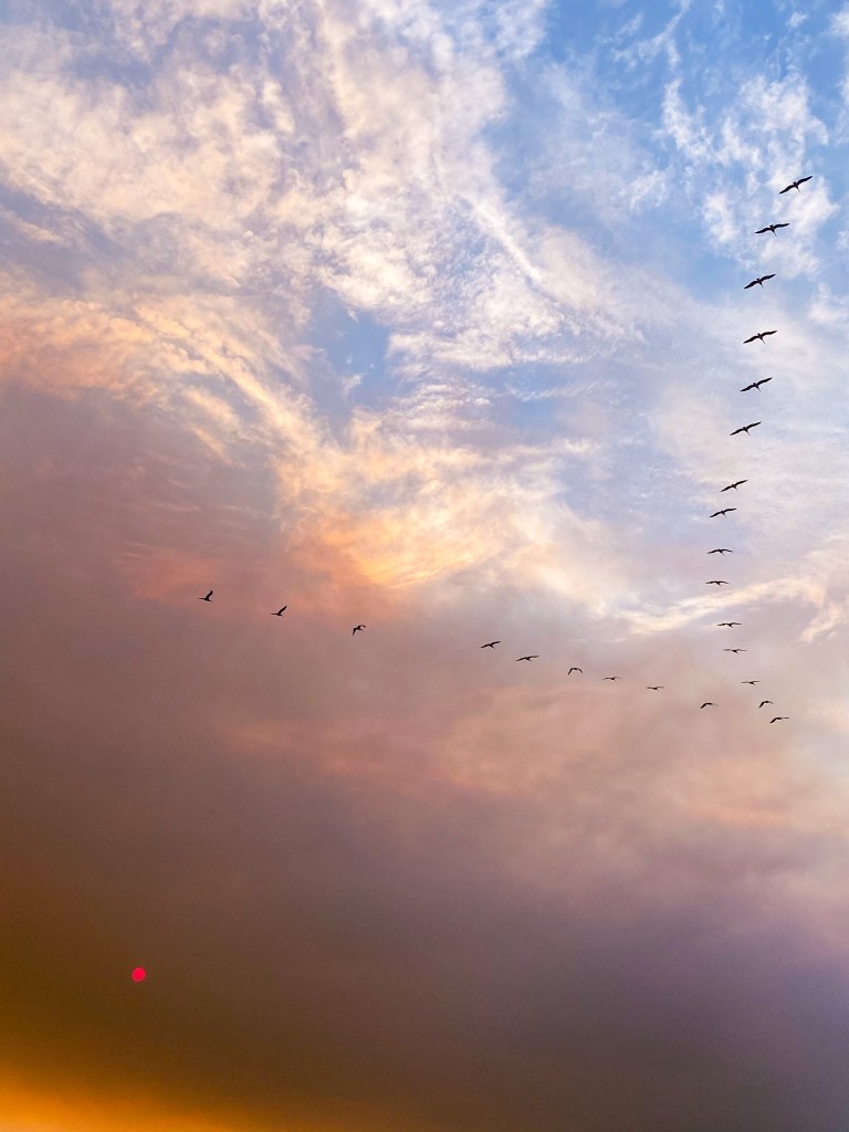 fire season in California 2020