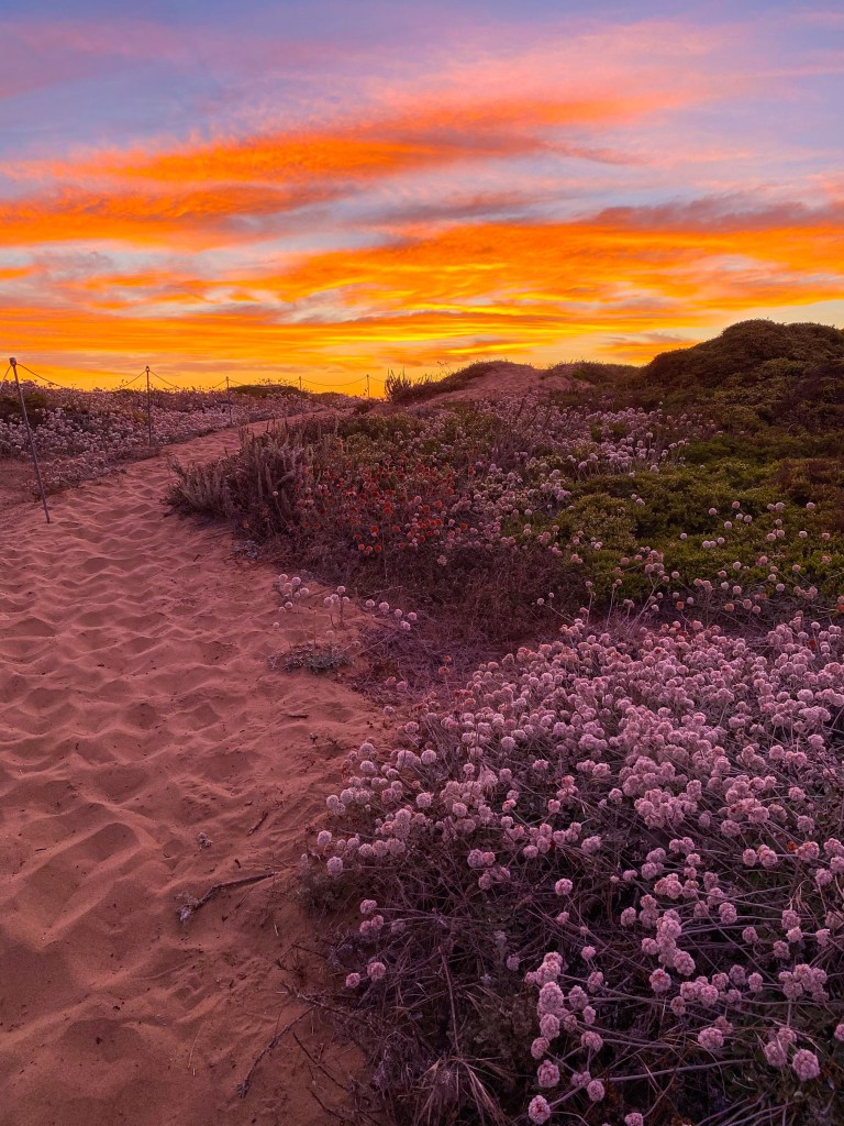 fort funston trail sunset
