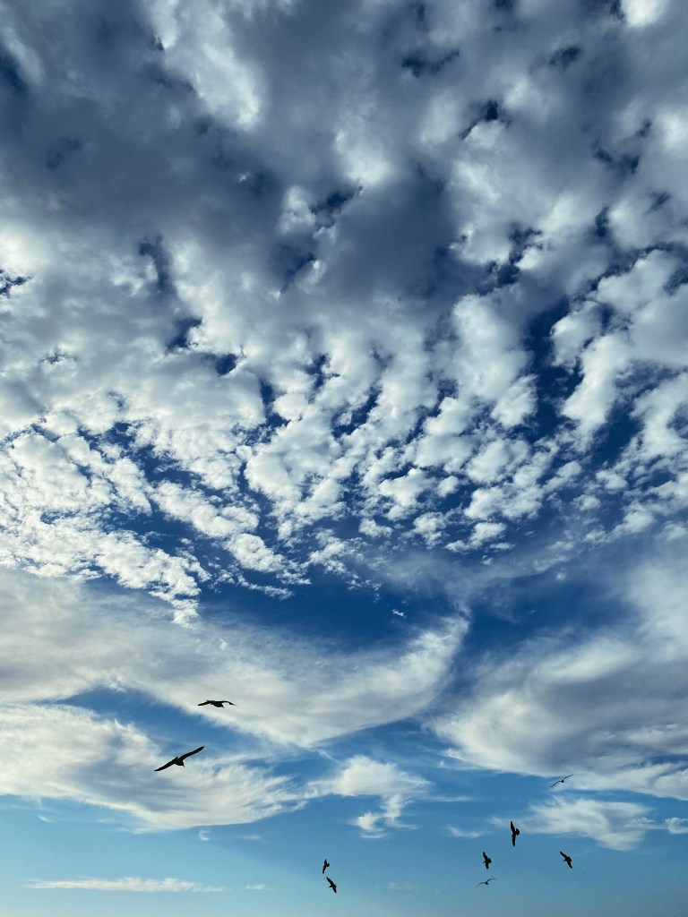 aeromancy cloud divination