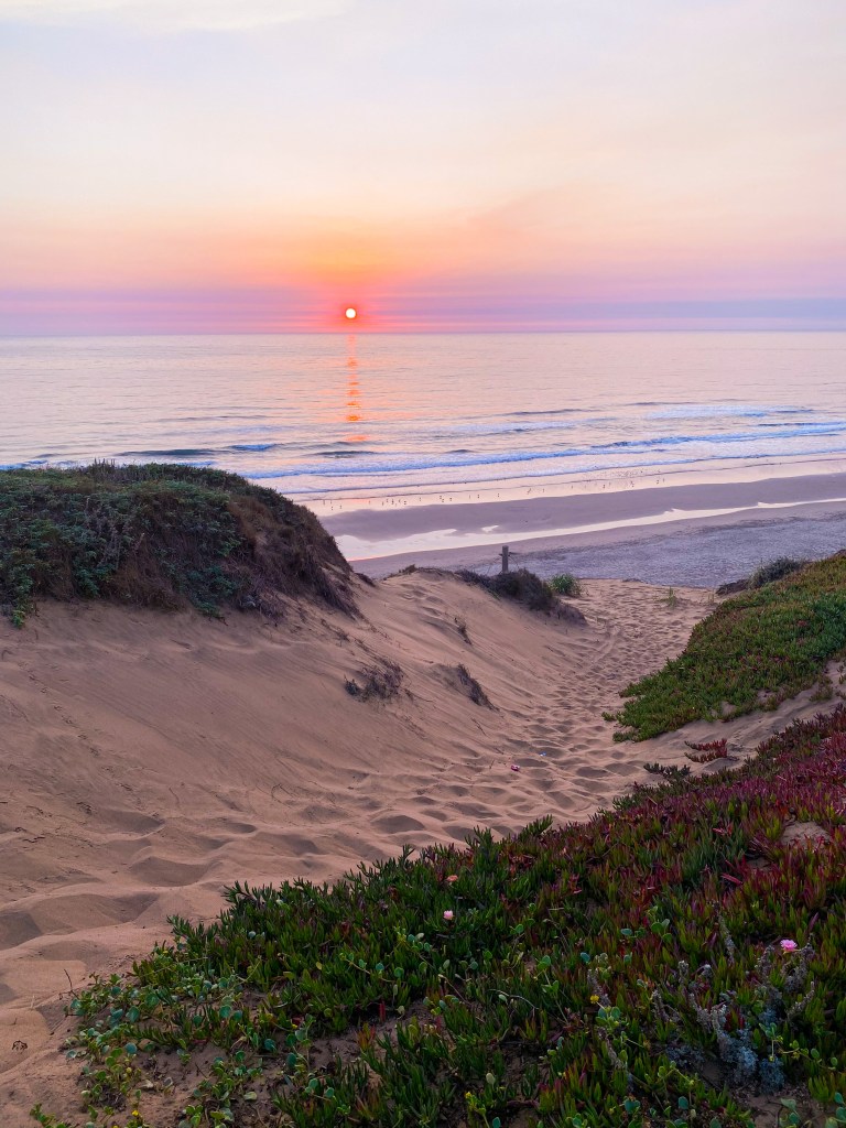 fire season in California 2020