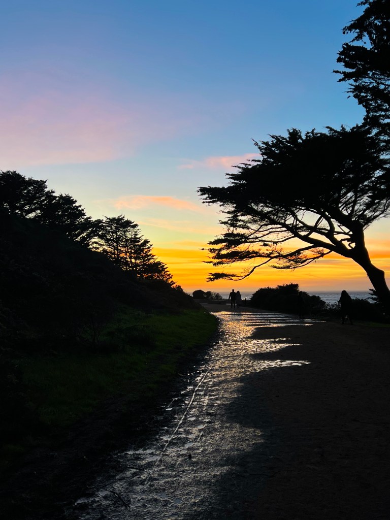 Lands End in San Francisco scenic sunset views